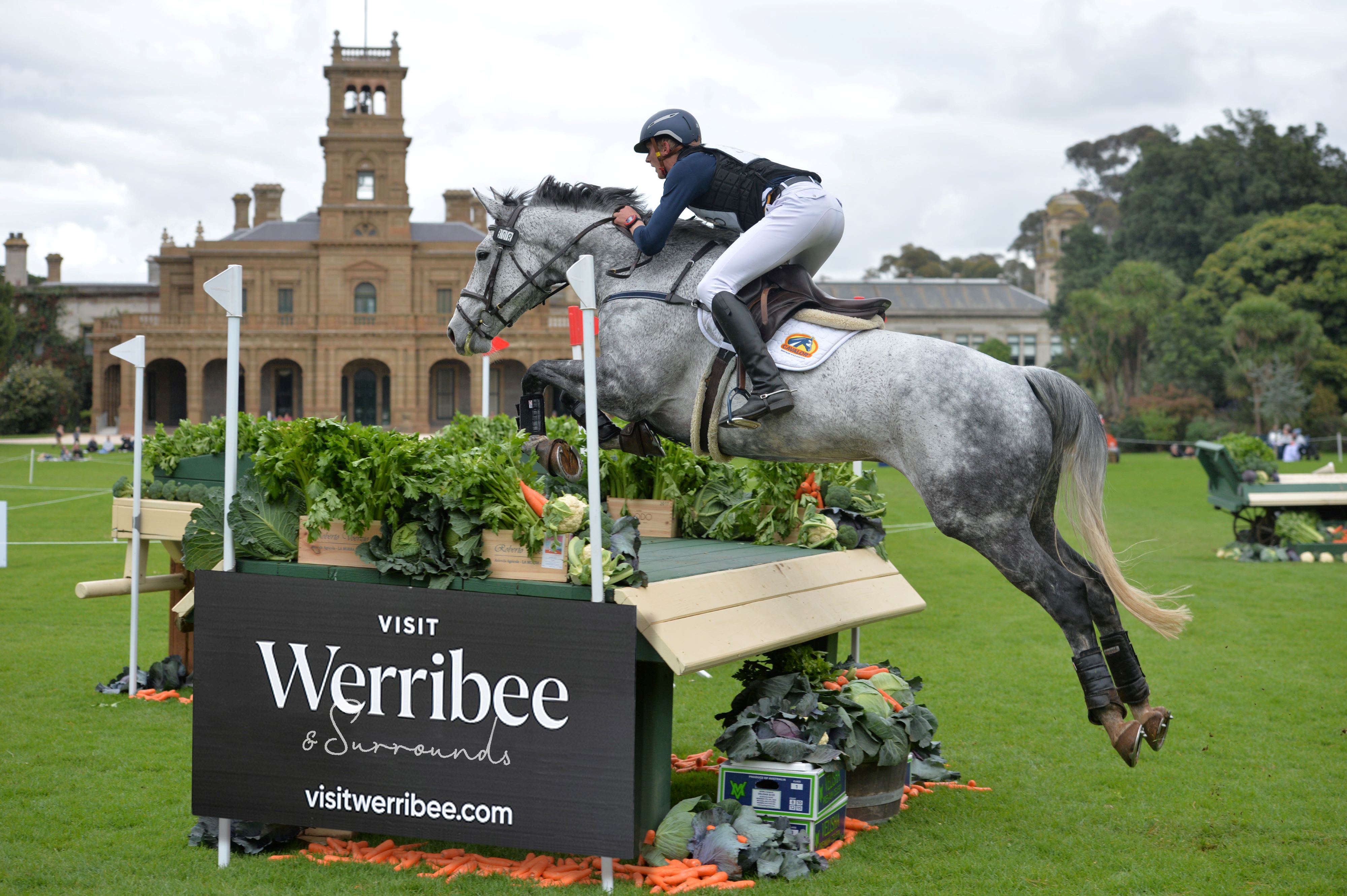 rider and horse jumping over a jump in front of Werribee Park Mansion