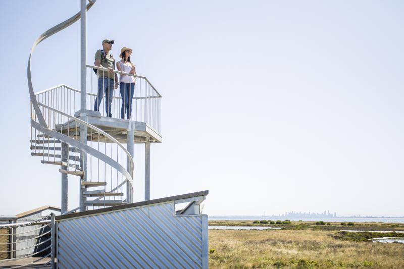 two adults at the top of a tower looking out over wetlands