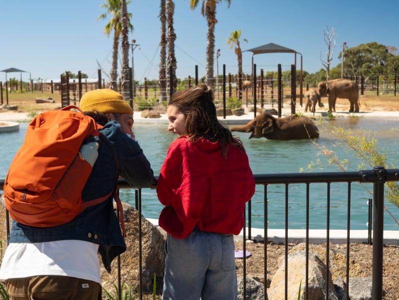 two people smiling at each other and looking at the elephants in the water