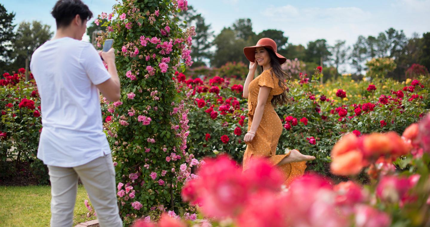 rose garden couple