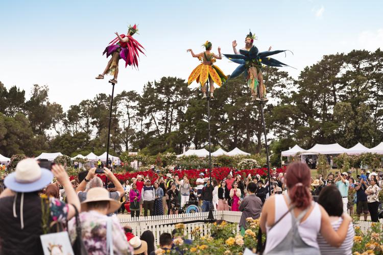 crowd watching aerial performers above the Victoria State Rose Garden