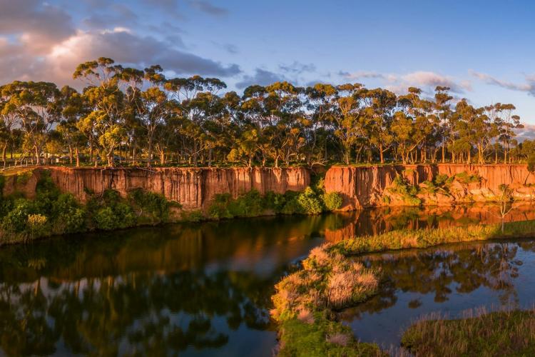 Werribee River with a wall of red cliffs and towering gums