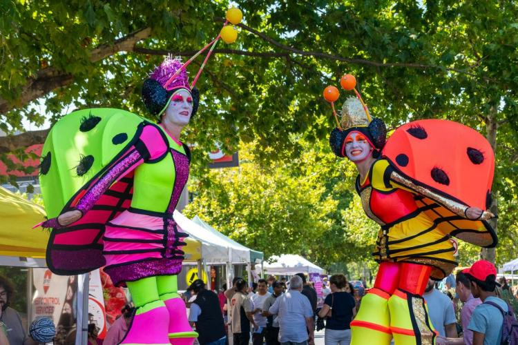 Wyndham Multicultural Lunar Festival