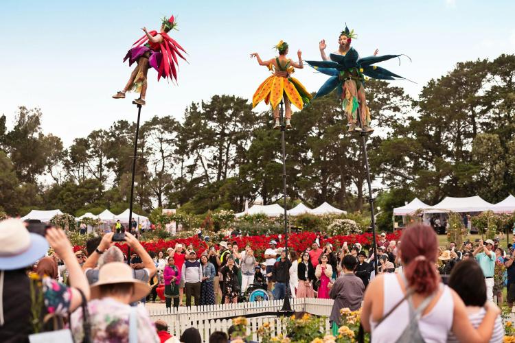 aerial performers on balance poles above crowd in rose garden