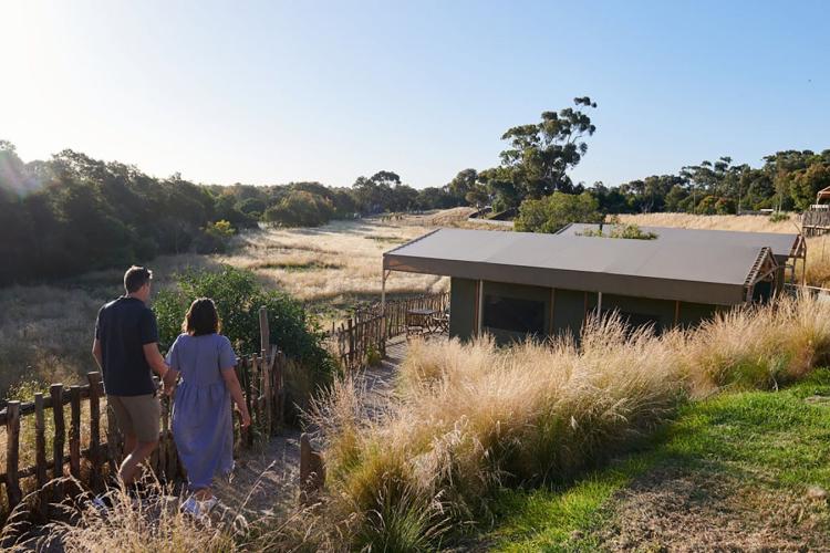 Two people walking towards cabins