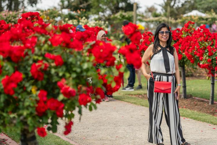 adult posing for photo in amongst red roses