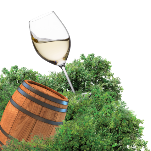 Glass of white wine and wine barrell