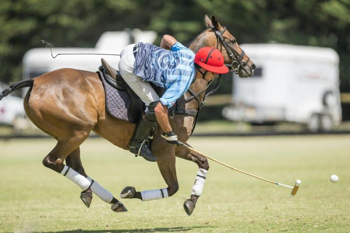 Urquhart Polo Cup