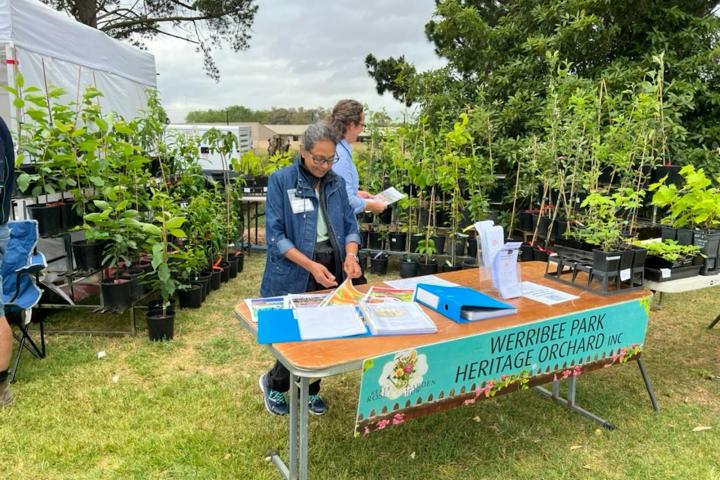 Werribee Park Heritage Orchard