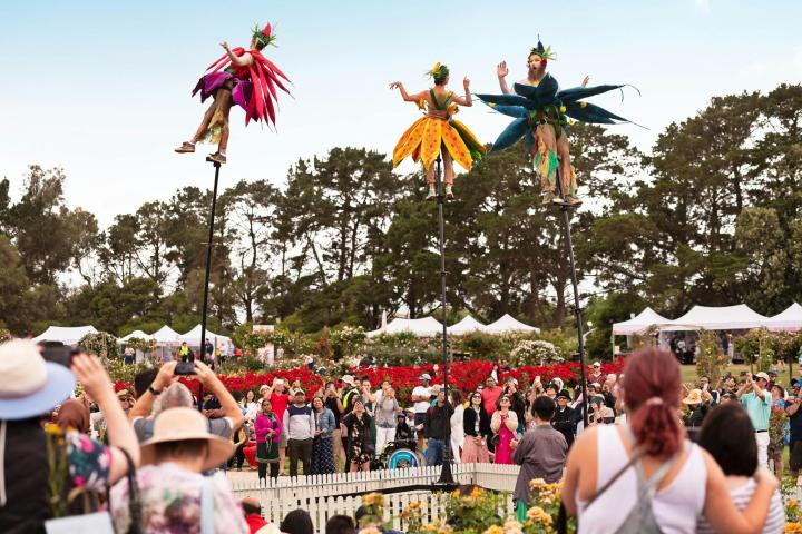 State Rose and Garden Show